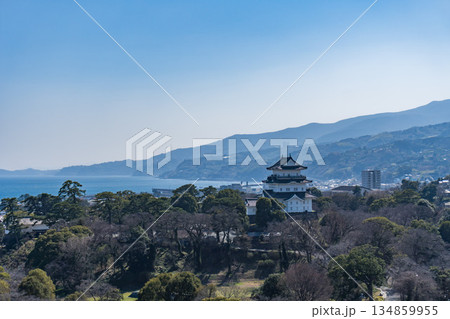 小田原市内の展望台から見る小田原城 134859955