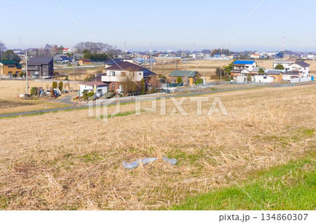 埼玉県吉川市江戸川サイクリングロード沿線の風景2025年12月 134860307
