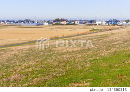 埼玉県吉川市江戸川サイクリングロード沿線の風景2025年12月 134860318