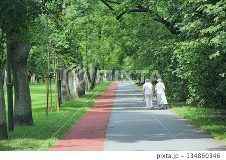 Two old women are walking in park with treadmill 134860346