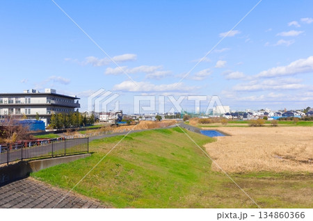 千葉県市川市国分川調節池緑地周辺2025年12月 134860366