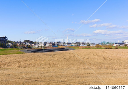 千葉県市川市国分川調節池緑地周辺2025年12月 134860367