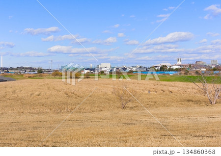 千葉県市川市国分川調節池緑地周辺2025年12月 134860368