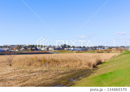 千葉県市川市国分川調節池緑地周辺2025年12月 134860370