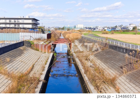 千葉県市川市国分川調節池緑地周辺2025年12月 134860371