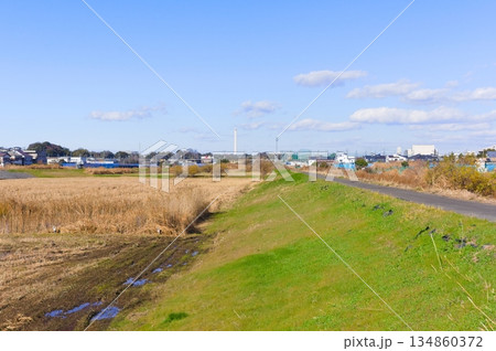 千葉県市川市国分川調節池緑地周辺2025年12月 134860372