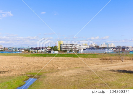 千葉県市川市国分川調節池緑地周辺2025年12月 千葉県市川市国分川調節池緑地周辺2025年12月 134860374