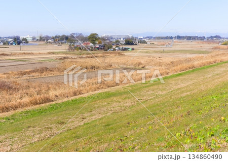 埼玉県春日部市江戸川サイクリングロード沿線の風景2025年12月 埼玉県春日部市江戸川サイクリングロード沿線の風景2025年12月 134860490