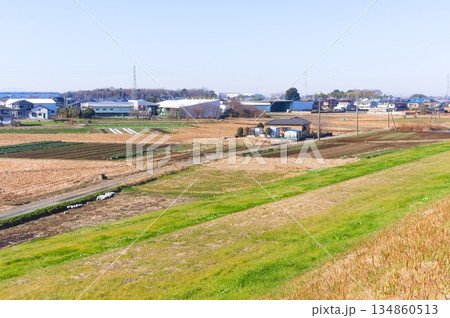 埼玉県杉戸町江戸川サイクリングロード沿線の風景2025年12月 134860513