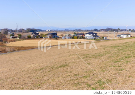 埼玉県杉戸町江戸川サイクリングロード沿線の風景2025年12月 134860519
