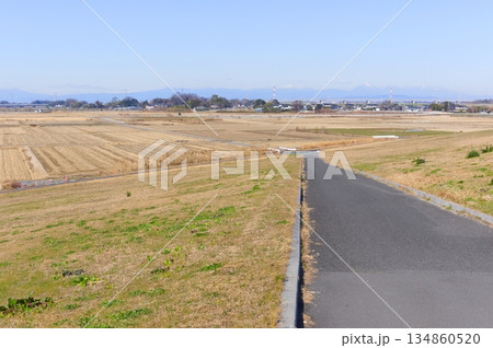 埼玉県杉戸町江戸川サイクリングロード沿線の風景2025年12月 134860520
