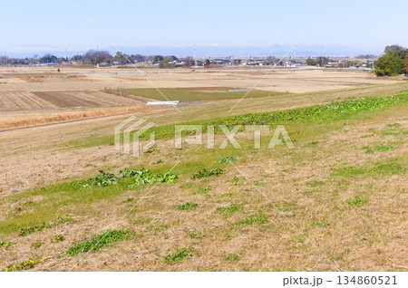 埼玉県杉戸町江戸川サイクリングロード沿線の風景2025年12月 134860521