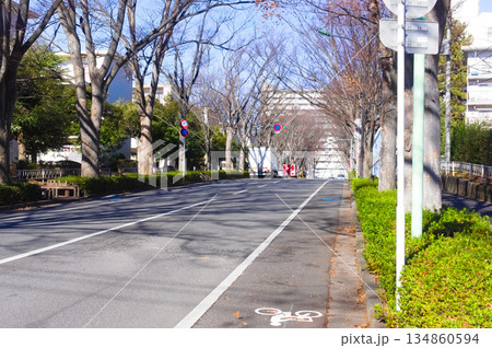 千葉県松戸市常盤平駅周辺2025年12月 134860594