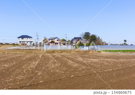 千葉県野田市五駄沼周辺2025年12月 134860675