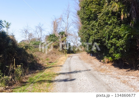 千葉県野田市五駄沼周辺2025年12月 134860677