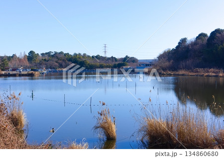 千葉県野田市五駄沼周辺2025年12月 134860680