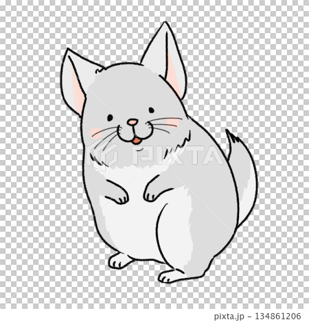 可愛的龍貓插圖 134861206