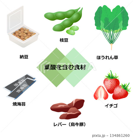 葉酸を含む食材 134861260