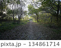 田舎道 134861714