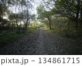 田舎道 134861715