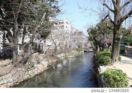 西川緑道公園（岡山県 岡山市） 134861920