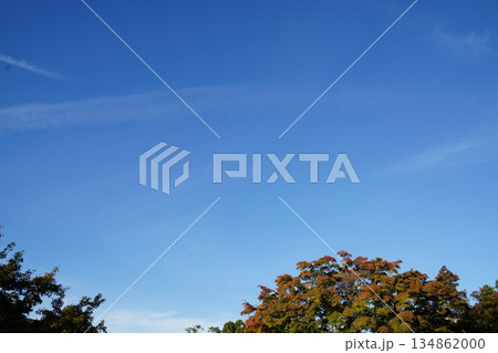 京都の秋の青空 134862000