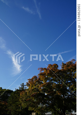 京都の秋の青空 134862001