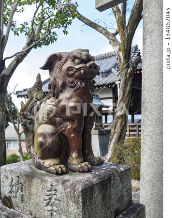 威風堂々、神域を守る陶器の狛犬 威風堂々、神域を守る陶器の狛犬 134862045