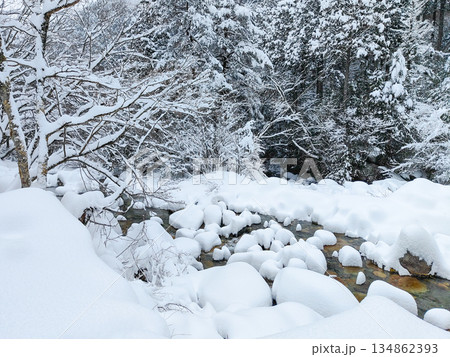 夕森渓谷（冬） 134862393