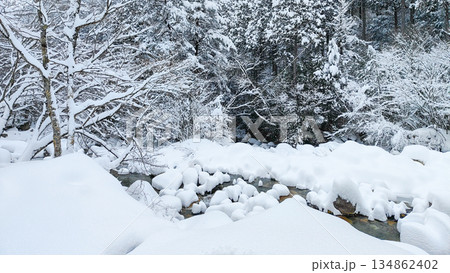 夕森渓谷（冬） 134862402