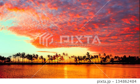 ハワイの椰子の木の美しい夕景 134862484