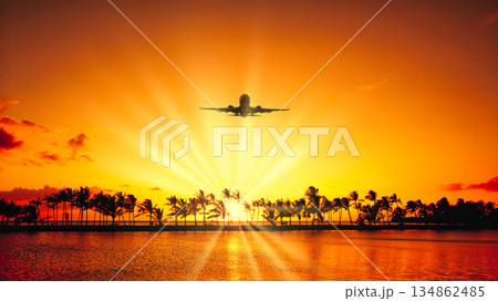 ハワイの椰子の木の美しい夕景 134862485