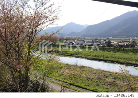 春の丹波市街 桜 氷上 柏原 兵庫県 春の丹波市街 桜 氷上 柏原 兵庫県 134863149