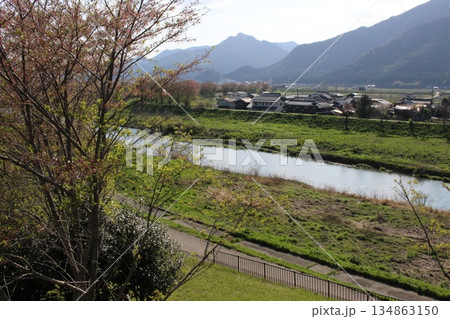 春の丹波市街 桜 氷上 柏原 兵庫県 春の丹波市街 桜 氷上 柏原 兵庫県 134863150