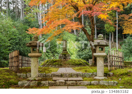 京都・一乗寺にある瑞巌山・圓光寺（開基：徳川家康公）2025年秋撮影 134863182
