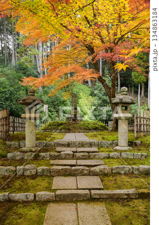 京都・一乗寺にある瑞巌山・圓光寺(開基:徳川家康公)2025年秋撮影 京都・一乗寺にある瑞巌山・圓光寺(開基:徳川家康公)2025年秋撮影 134863184