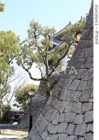 岡山城 月見櫓（岡山県） 134863459