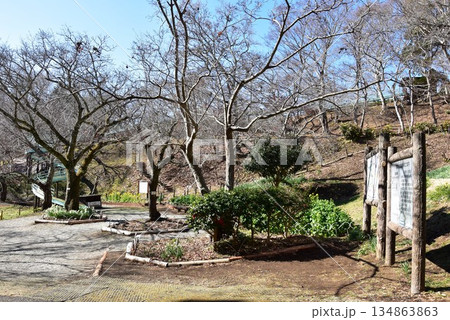 神奈川県二宮町　吾妻山公園散策路とロング滑り台 134863863