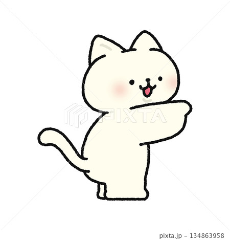 指をさすかわいいネコ 指をさすかわいいネコ 134863958