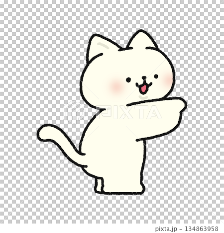 指をさすかわいいネコ 指をさすかわいいネコ 134863958