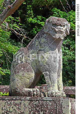 貫前神社（富岡） 134864003