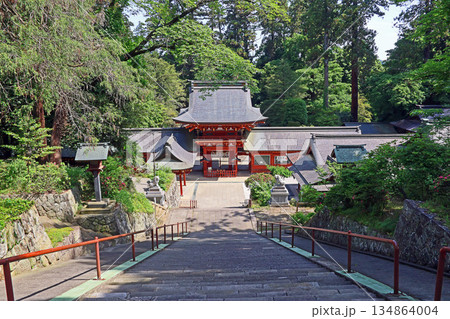 貫前神社（富岡） 134864004
