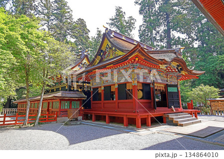 貫前神社（富岡） 134864010