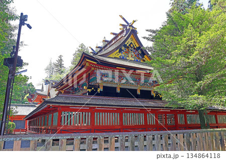 貫前神社（富岡） 134864118