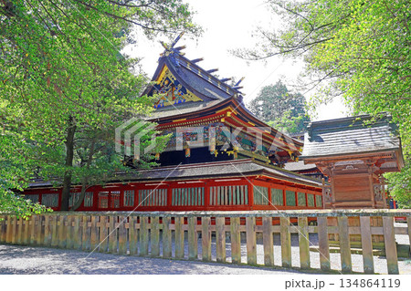 貫前神社（富岡） 134864119