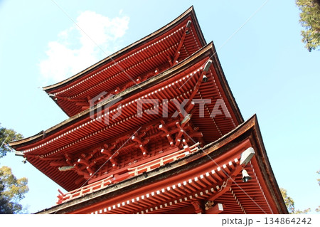 柏原八幡宮 柏原 丹波市 厄神 柏原八幡宮 柏原 丹波市 厄神 134864242