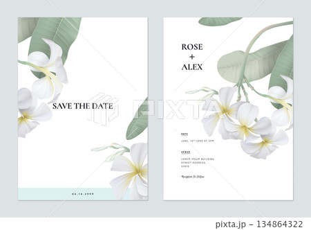 Floral wedding invitation card template design, white plumeria flowers  with leaves on white 134864322