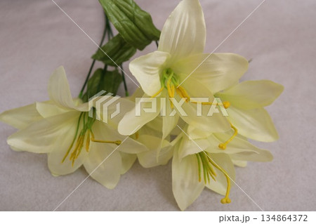 白い百合の花と余白 134864372