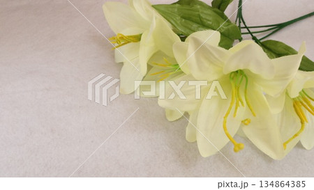白い百合の花と余白 134864385