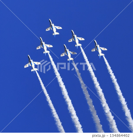 ブルーインパルス 134864402